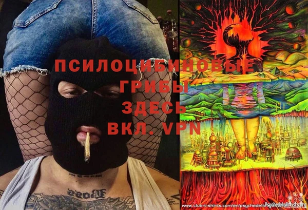 jwh Козельск