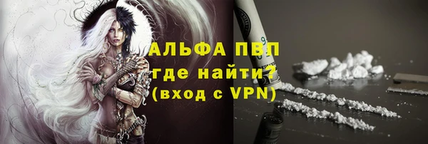 гидра Кодинск