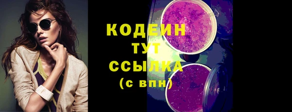 гидра Кодинск