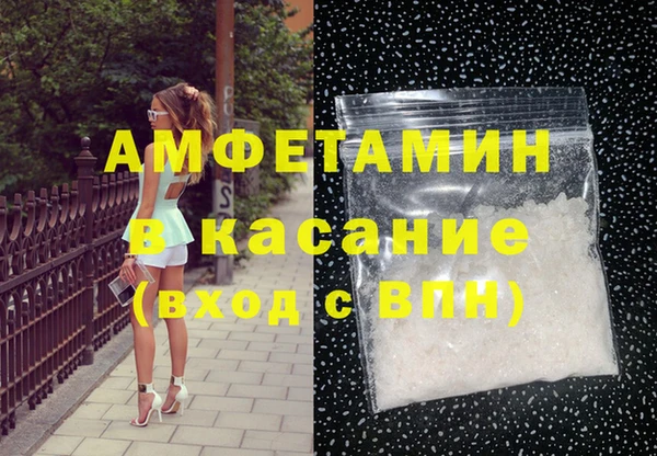 гидра Кодинск