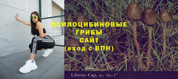 jwh Козельск