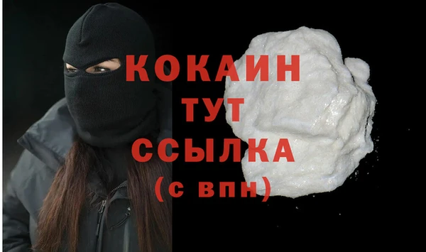 гидра Кодинск