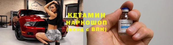 гидра Кодинск