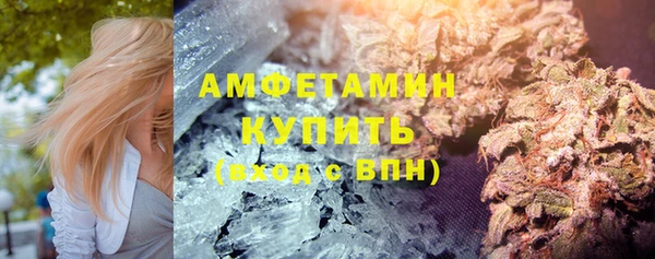 гидра Кодинск