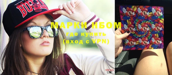 гидра Кодинск