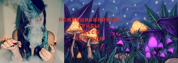 jwh Козельск