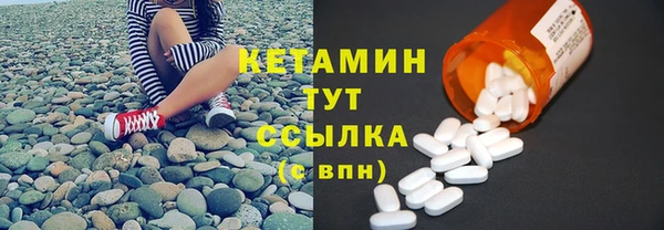 гидра Кодинск