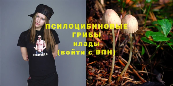 дживик Кинешма